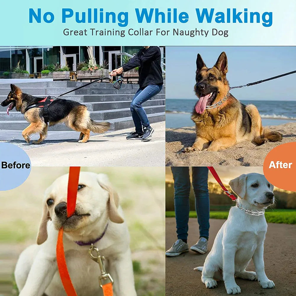 BLYNTRA Adjustable Pinch Collar with Safety Snap – No-Pull Training BLYNTRA