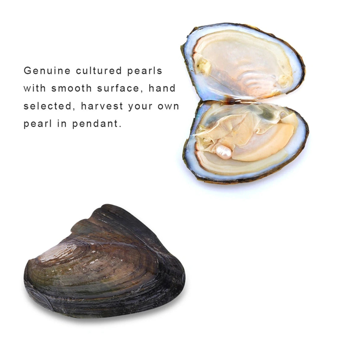 Wish Pearl Necklace Kit Gift Set BLYNTRA