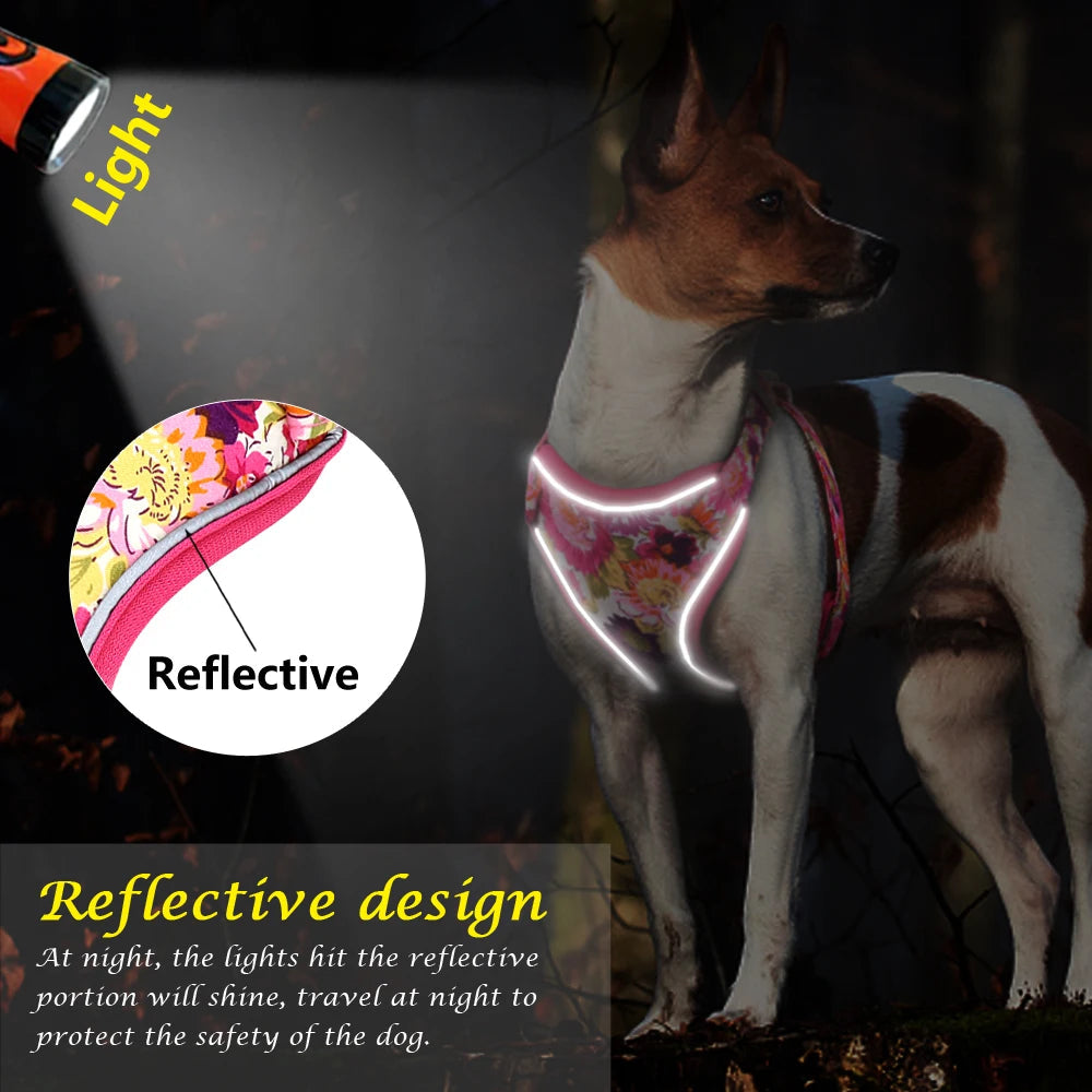 Reflective Mesh Dog Harness & Leash BLYNTRA