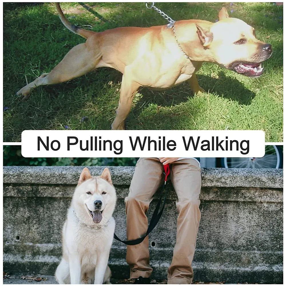 BLYNTRA Adjustable Pinch Collar with Safety Snap – No-Pull Training BLYNTRA