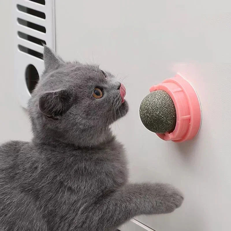 The Catnip Cat Wall Stick-on Ball Toy Scratchers Treats Healthy Natural Removes Balls To Promote Digestion Cat Grass Snack BLYNTRA