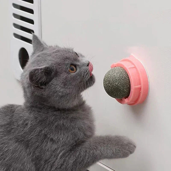 The Catnip Cat Wall Stick-on Ball Toy Scratchers Treats Healthy Natural Removes Balls To Promote Digestion Cat Grass Snack BLYNTRA