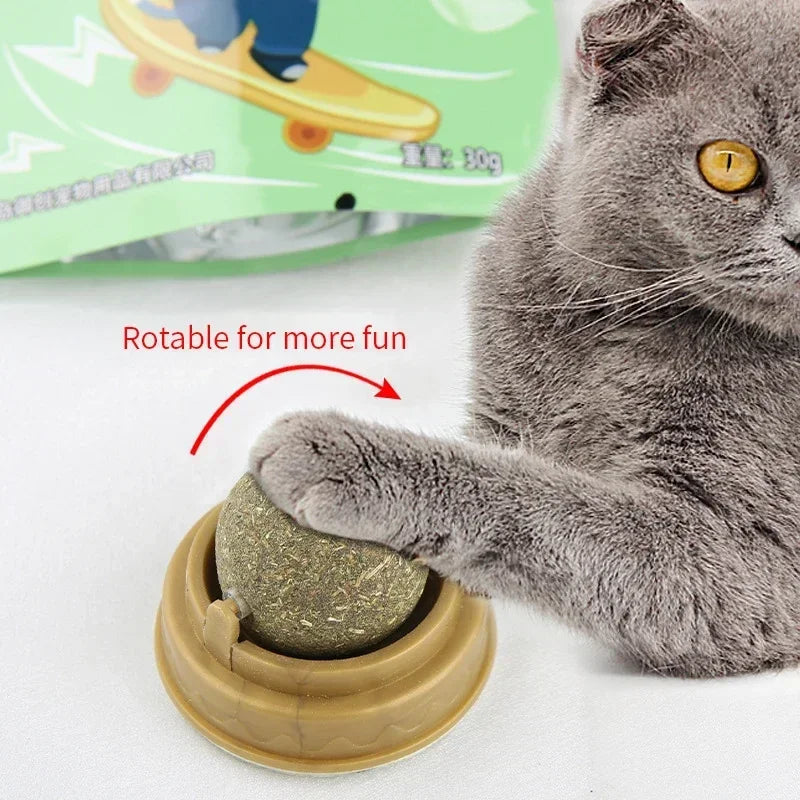 The Catnip Cat Wall Stick-on Ball Toy Scratchers Treats Healthy Natural Removes Balls To Promote Digestion Cat Grass Snack BLYNTRA