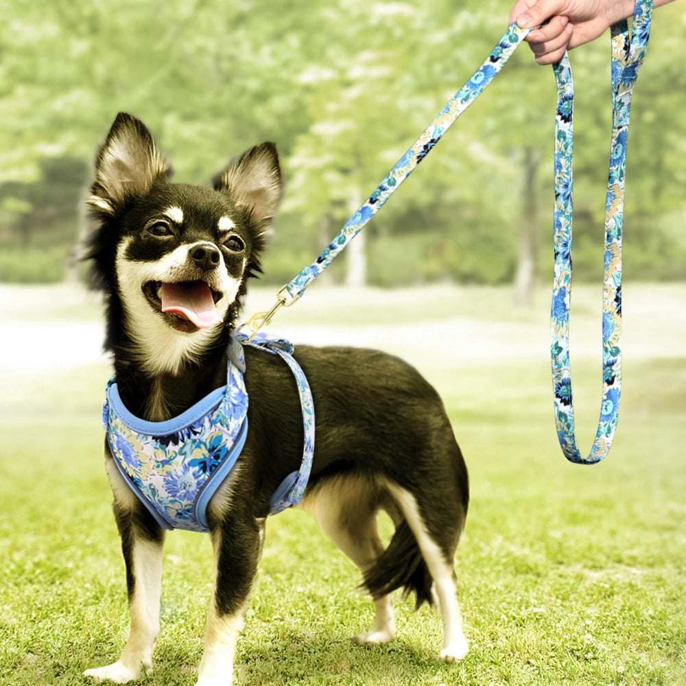 Reflective Mesh Dog Harness & Leash BLYNTRA