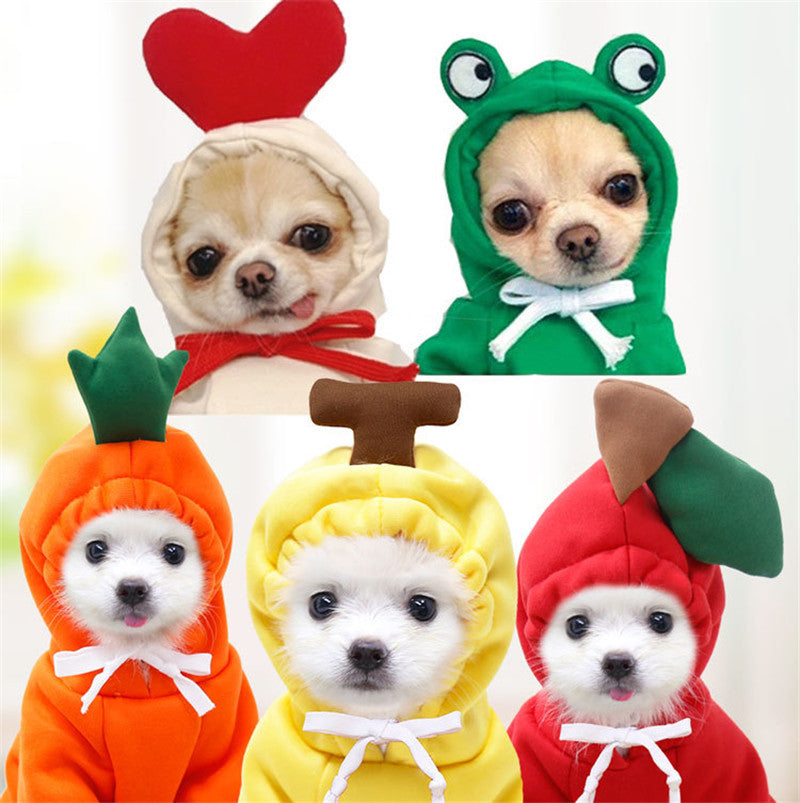 BLYNTRA Winter Fleece Hoodie for Small Dogs – Cute Fruit Costume BLYNTRA