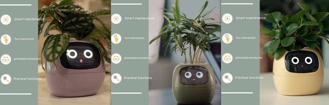 BLYNTRA Smart Planter Companion – Animated AI Plant Pot with Display BLYNTRA