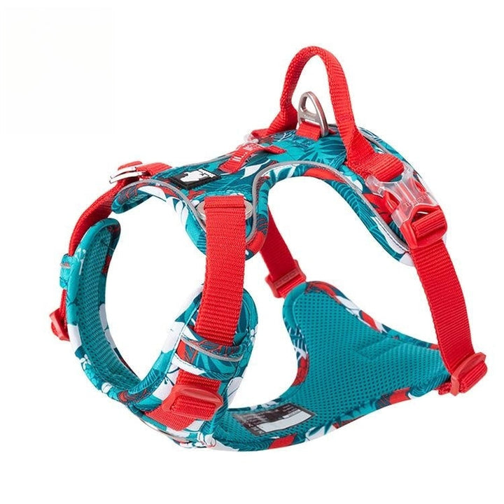 No-Pull Dog Vest with Leash | Explosion-Proof Harness BLYNTRA