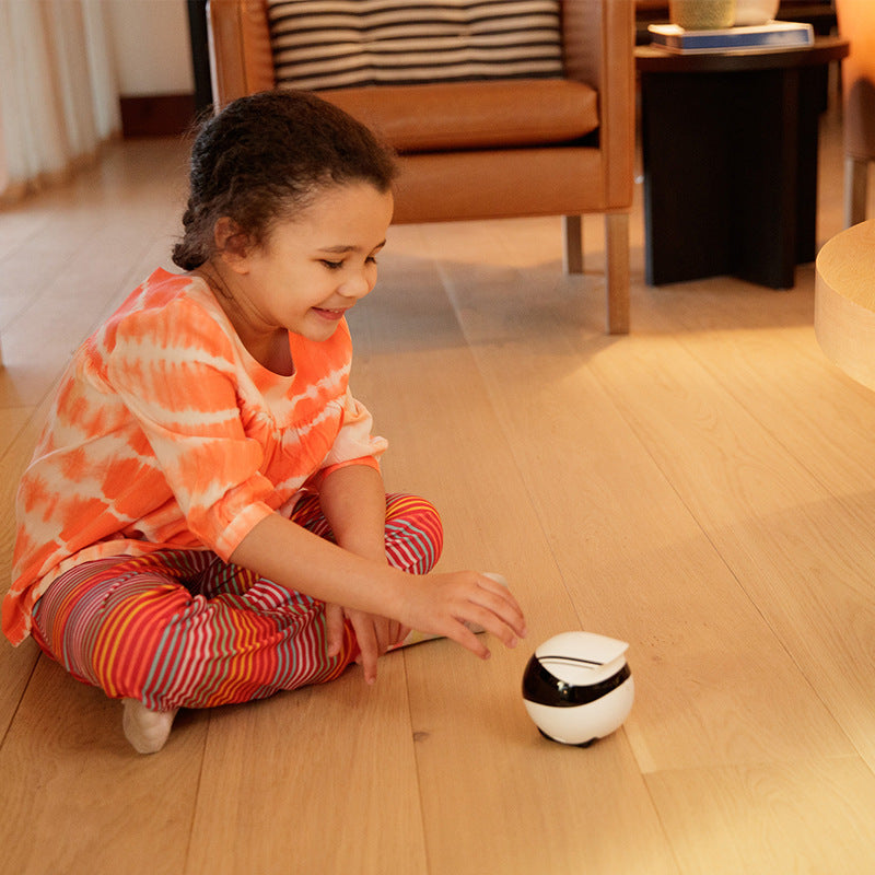 Smart Home Companion Robot Remote BLYNTRA