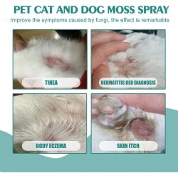 Pet Anti-Itch Skin Spray for Dogs & Cats BLYNTRA