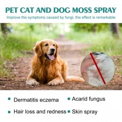 Pet Anti-Itch Skin Spray for Dogs & Cats BLYNTRA