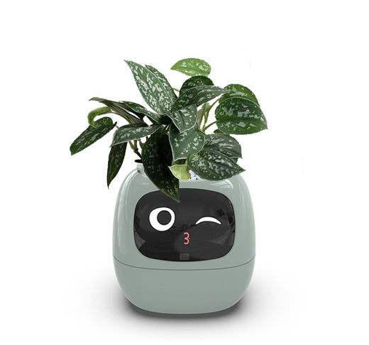 BLYNTRA Smart Planter Companion – Animated AI Plant Pot with Display BLYNTRA