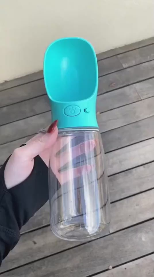1.mp4